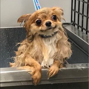 Meet your Posher, Zach